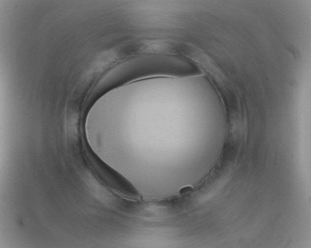 X0000113620585200910161955