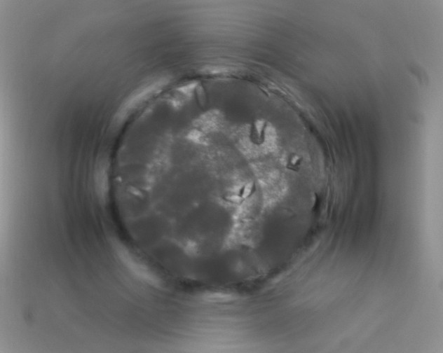 X0000113620586200910161955