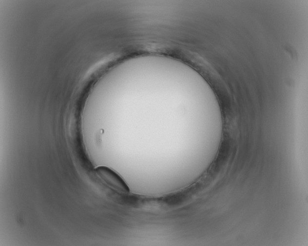 X0000113620587200910161955