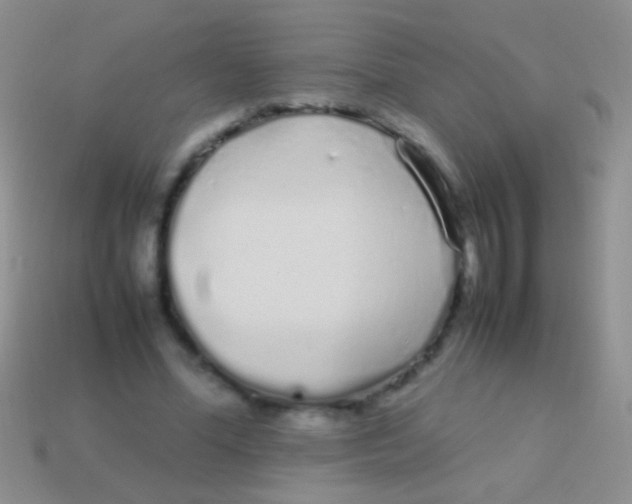 X0000113620588200910161955