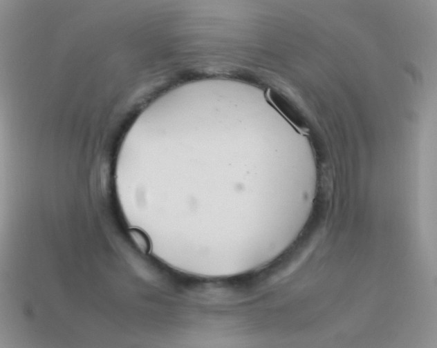 X0000113620589200910161955