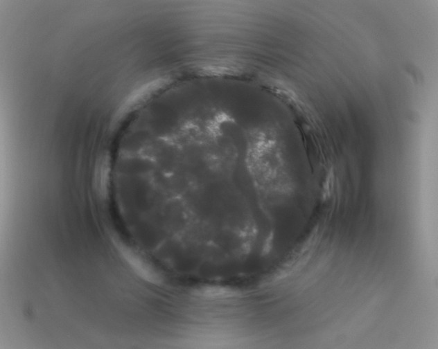 X0000113620590200910161955