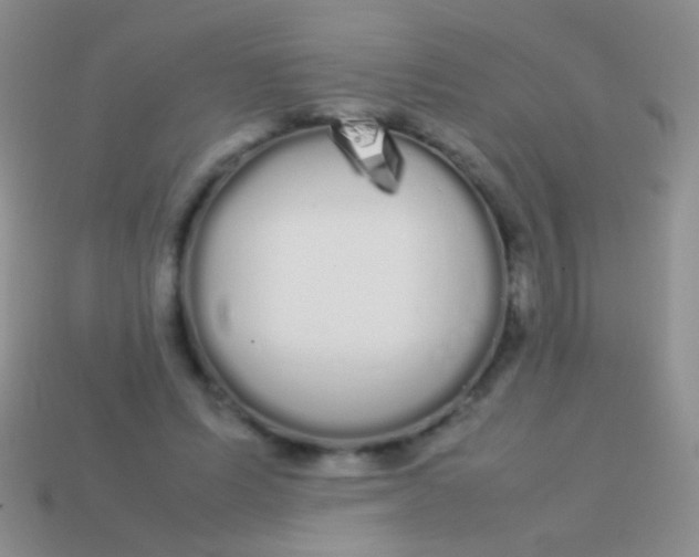 X0000113620591200910161955