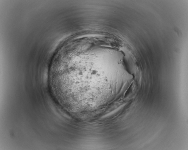 X0000113620592200910161955