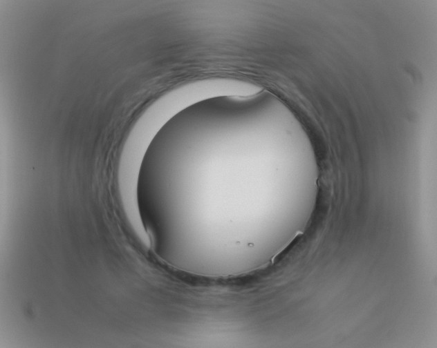 X0000113620593200910161955