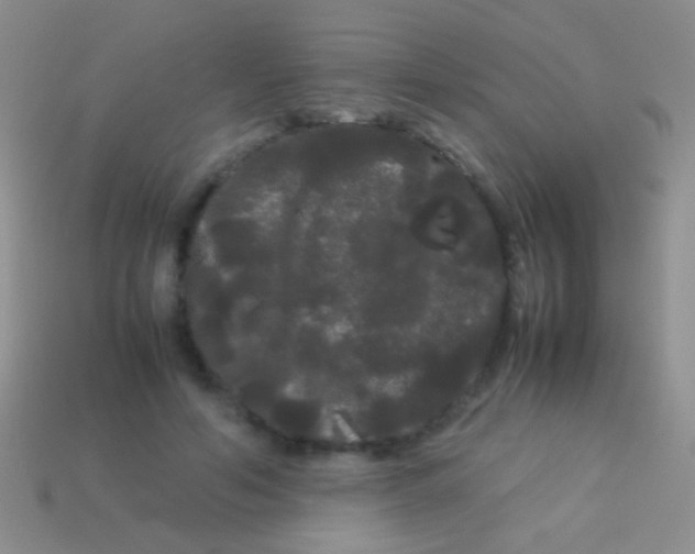 X0000113620594200910161955