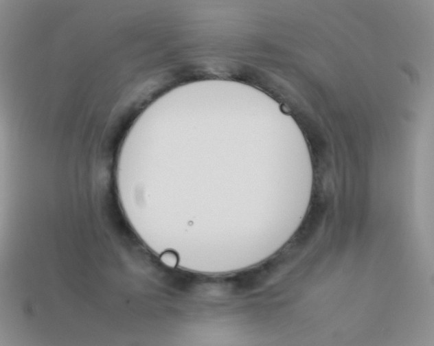 X0000113620595200910161955