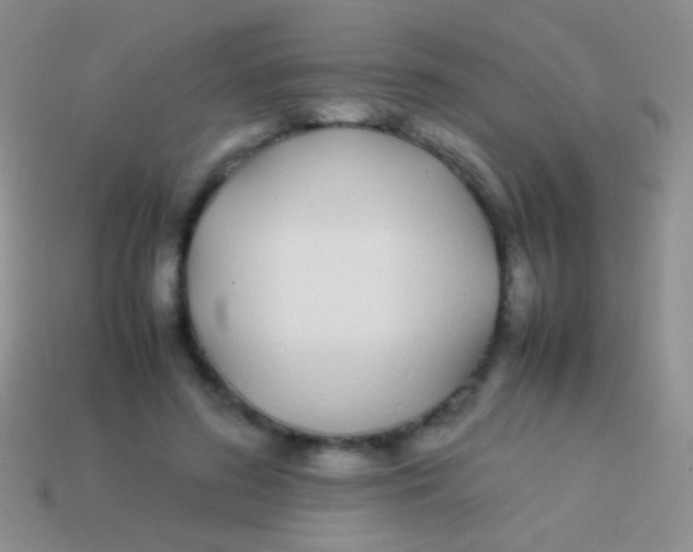 X0000113620596200910161955