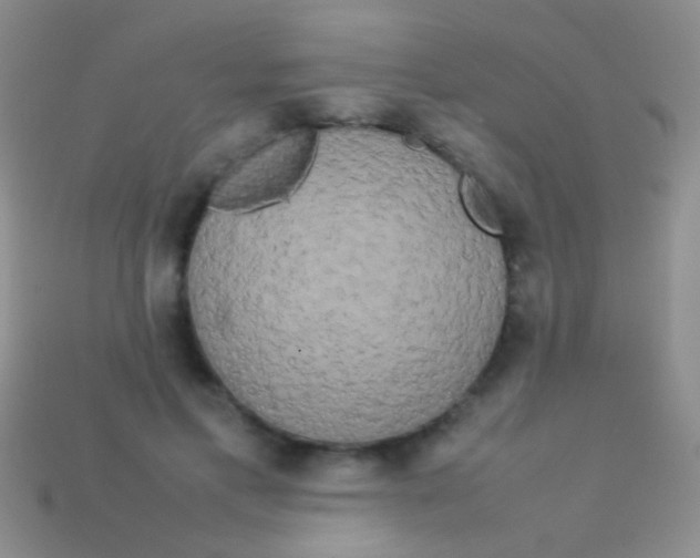 X0000113620597200910161955