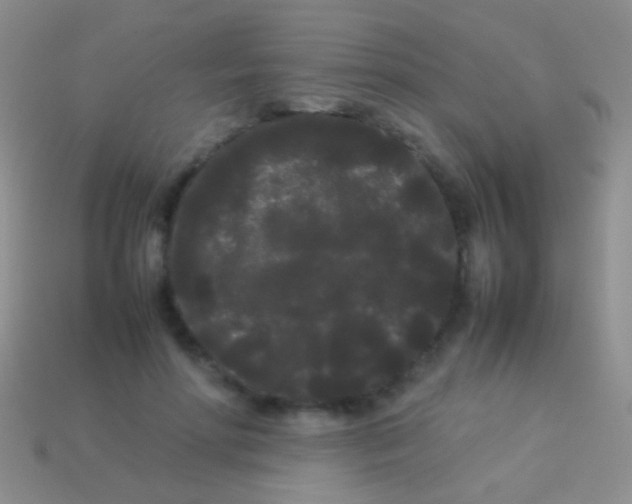 X0000113620598200910161955