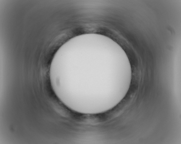 X0000113620601200910161955