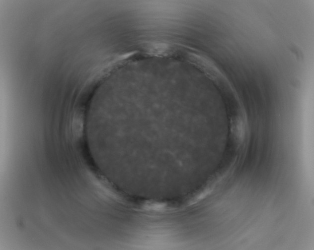 X0000113620602200910161955