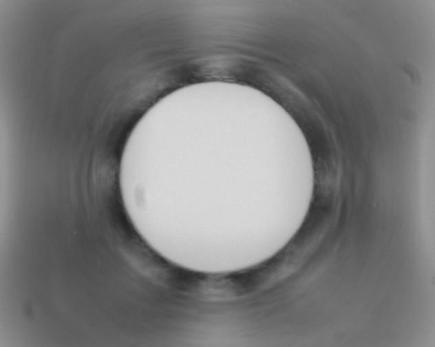 X0000113620603200910161955