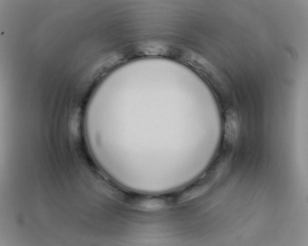 X0000113620604200910161955