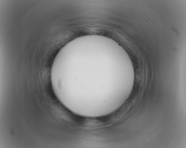 X0000113620605200910161955