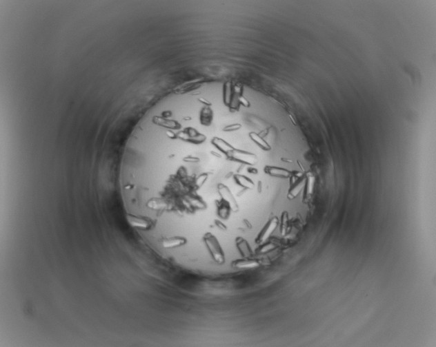 X0000113620606200910161955
