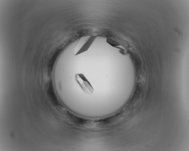 X0000113620607200910161955