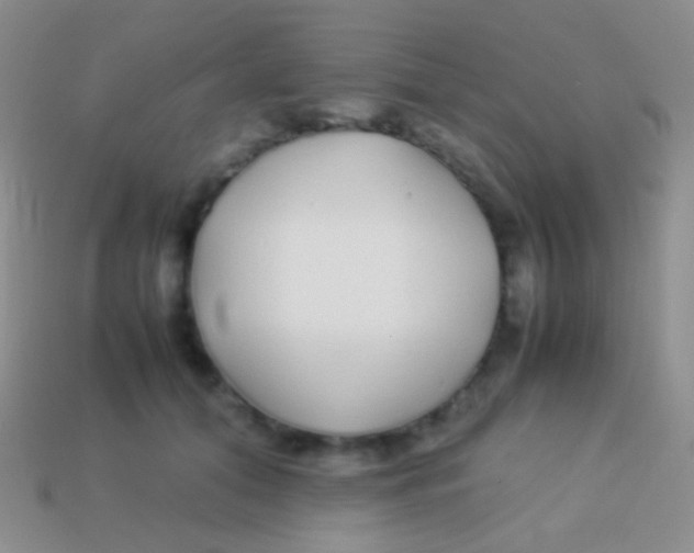 X0000113620608200910161954
