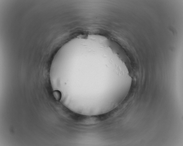 X0000113620609200910161954