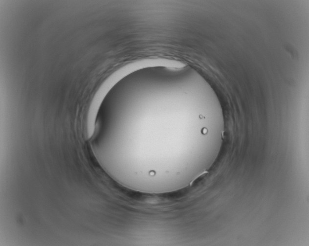 X0000113620611200910161954