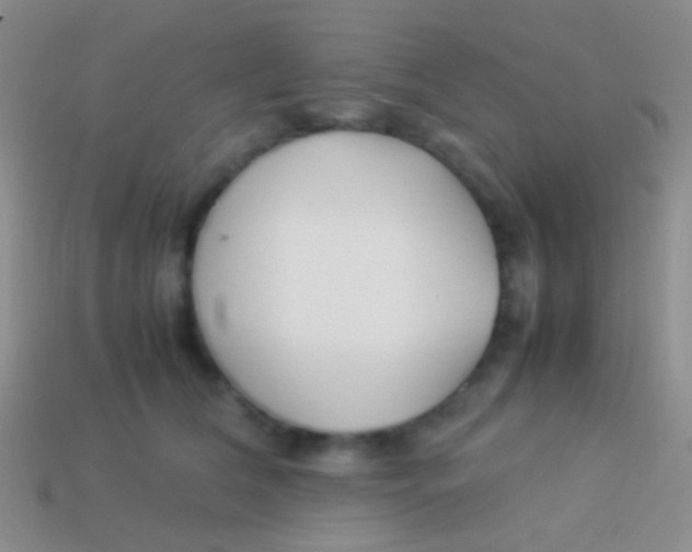 X0000113620612200910161954