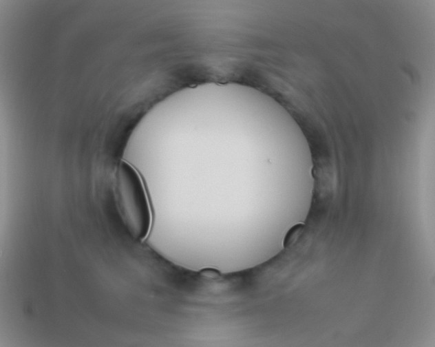 X0000113620613200910161954