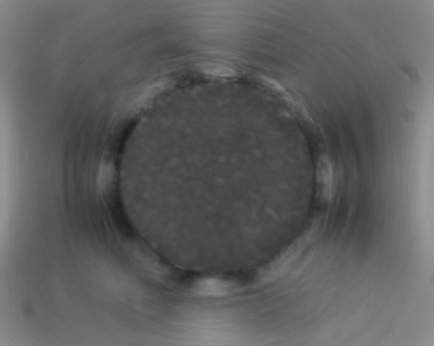 X0000113620614200910161954