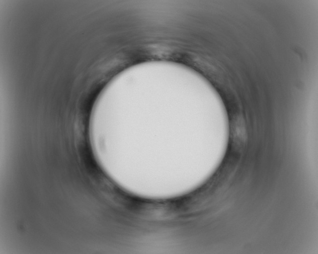 X0000113620615200910161954