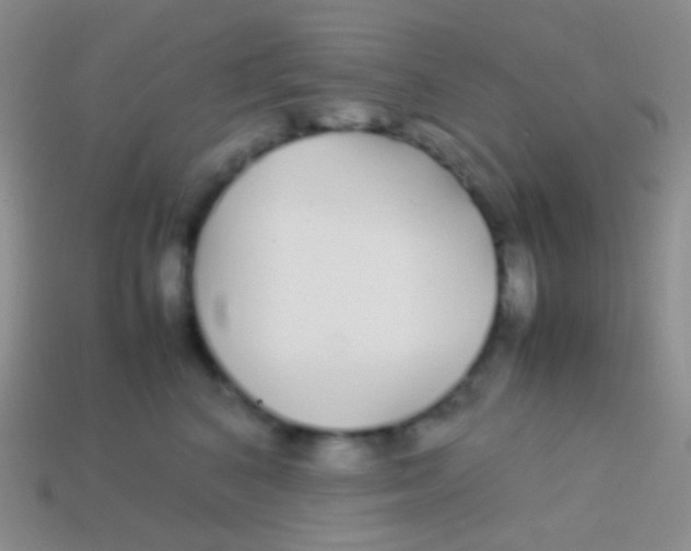 X0000113620616200910161954