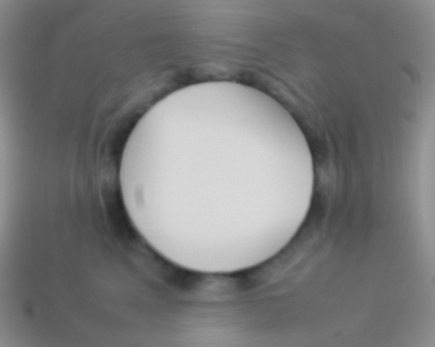 X0000113620617200910161954
