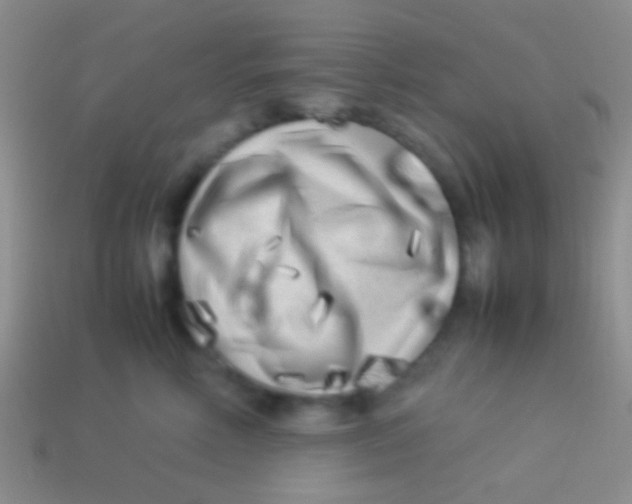 X0000113620618200910161954