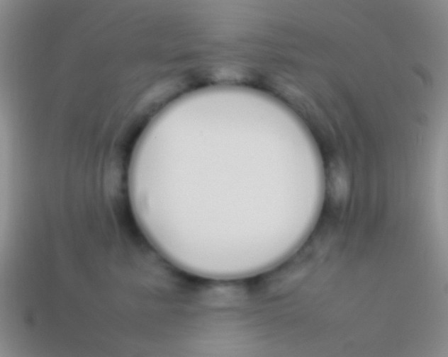 X0000113620619200910161954