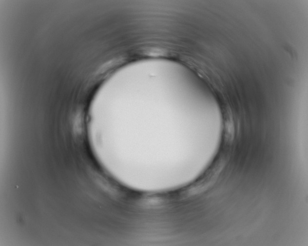 X0000113620620200910161954