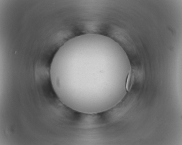 X0000113620621200910161954