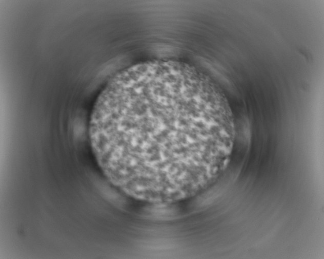 X0000113620622200910161954