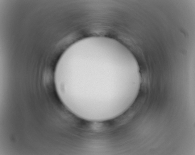 X0000113620623200910161954