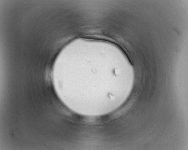 X0000113620624200910161954