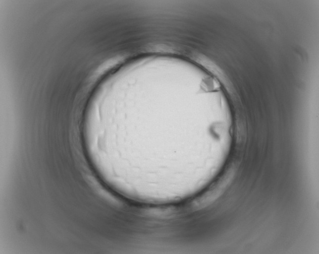 X0000113620625200910161953