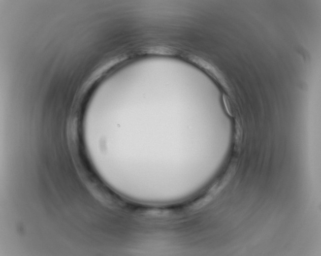 X0000113620626200910161953