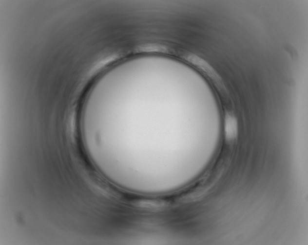 X0000113620627200910161953
