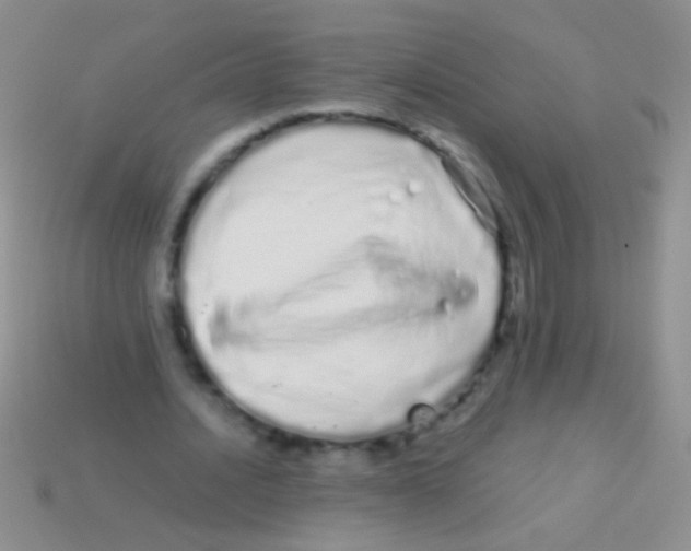 X0000113620628200910161953