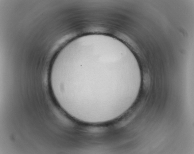 X0000113620629200910161953