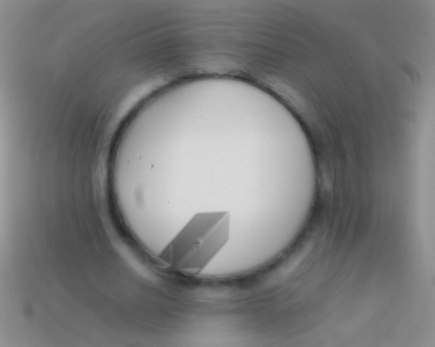 X0000113620630200910161953