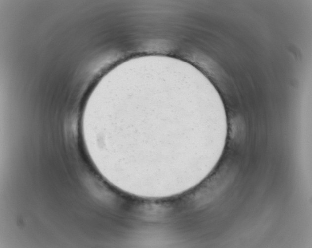 X0000113620632200910161953