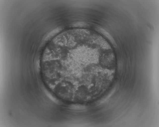 X0000113620633200910161954