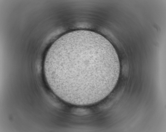 X0000113620635200910161954