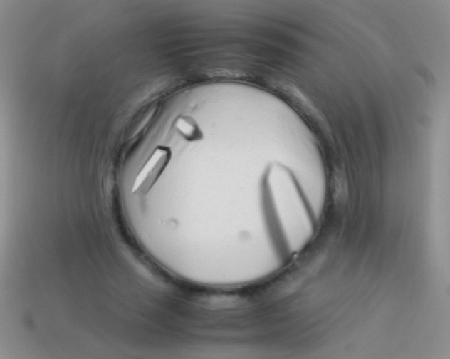 X0000113620637200910161954