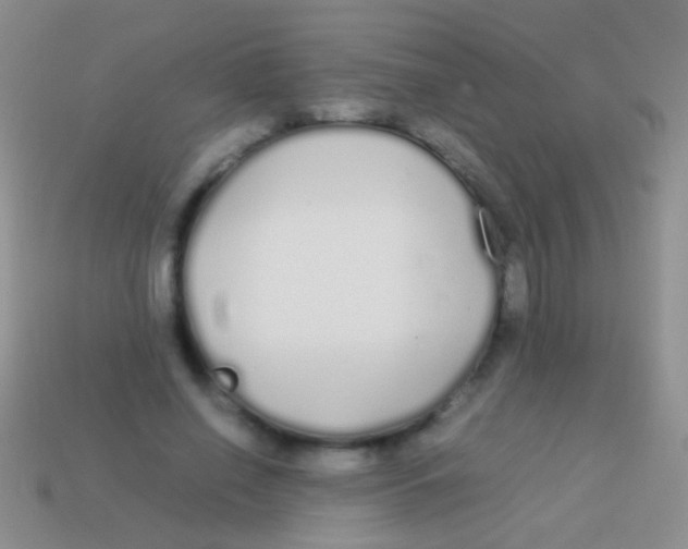 X0000113620638200910161954