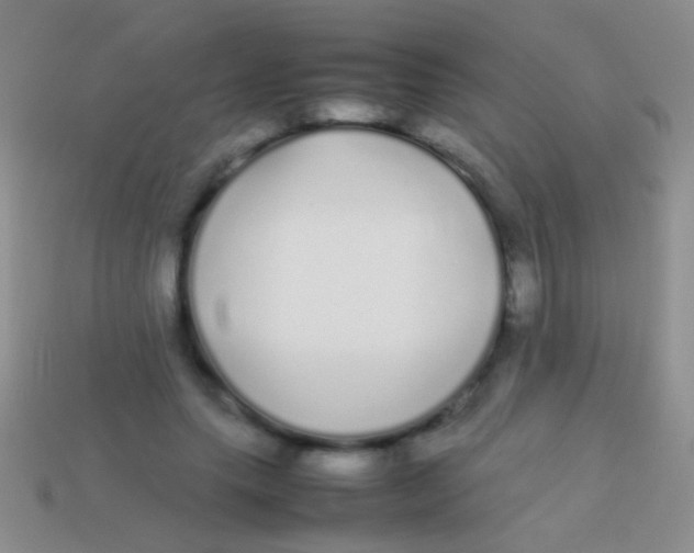 X0000113620639200910161954