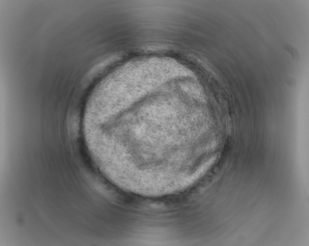 X0000113620640200910161954